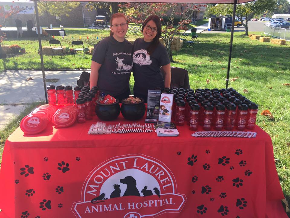 Volunteer - Mount Laurel Animal Hospital