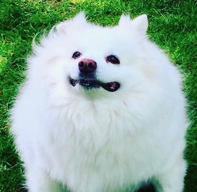 Charles