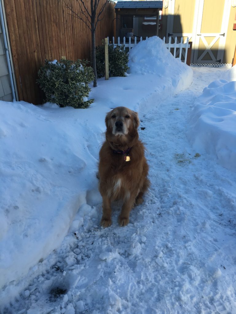 Madison