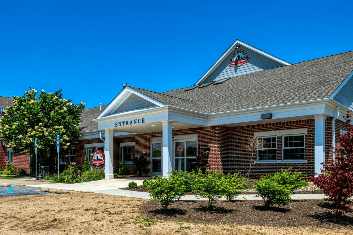 Vet Experience - Mount Laurel Animal Hospital