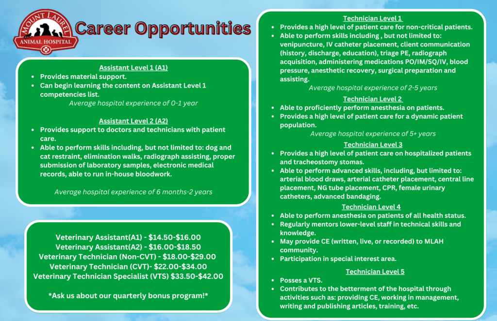 Career Opportunities Path