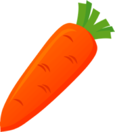 carrot