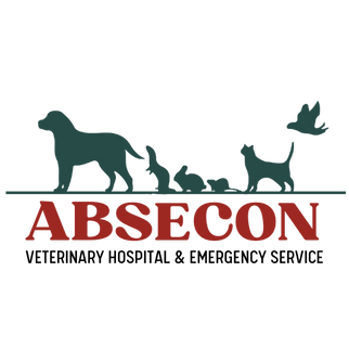 Absecon_Veterinary_Hospital