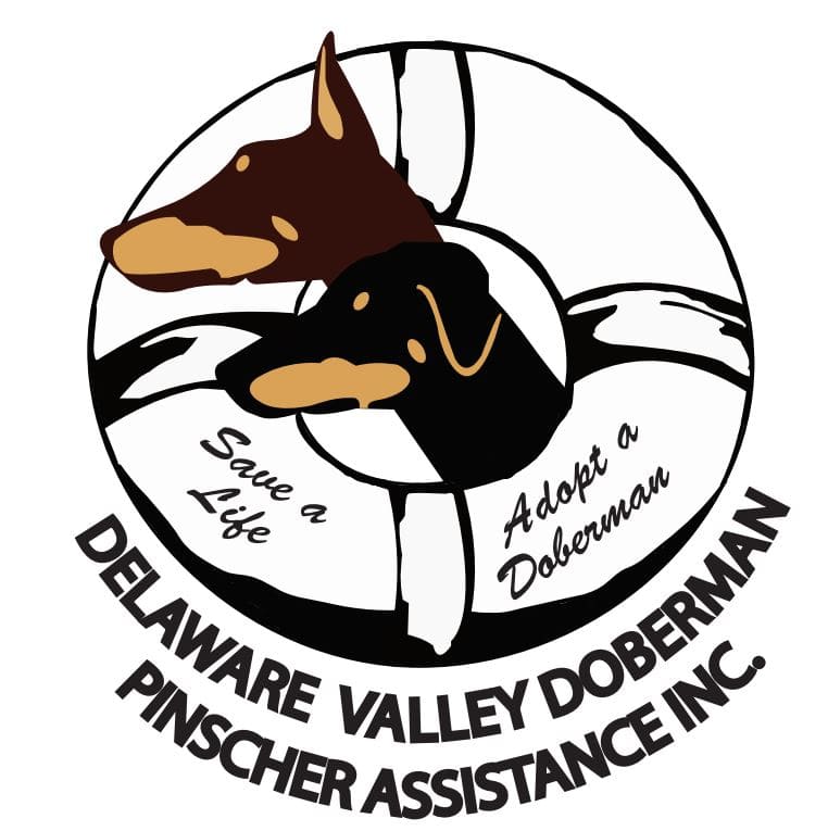 Delaware Valley Doberman Pinscher Assistance