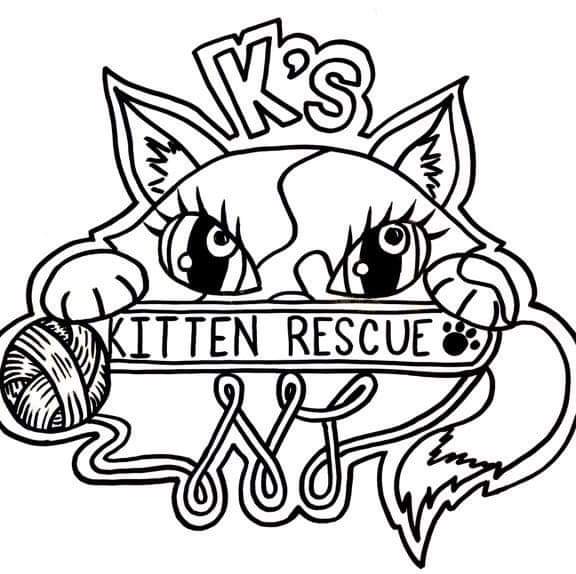 Ks Kitten Rescue BrickNJ