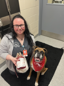 BloodBank MountLaurelAnimalHospital Donor Pets