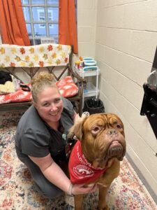 Hank MLAH Bloodbank