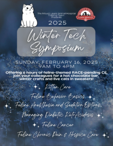 Winter Tech Symposium Marketing Flyer