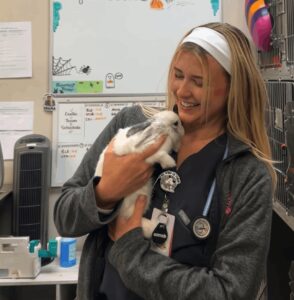 MountLaurelAnimalHospital RHDV