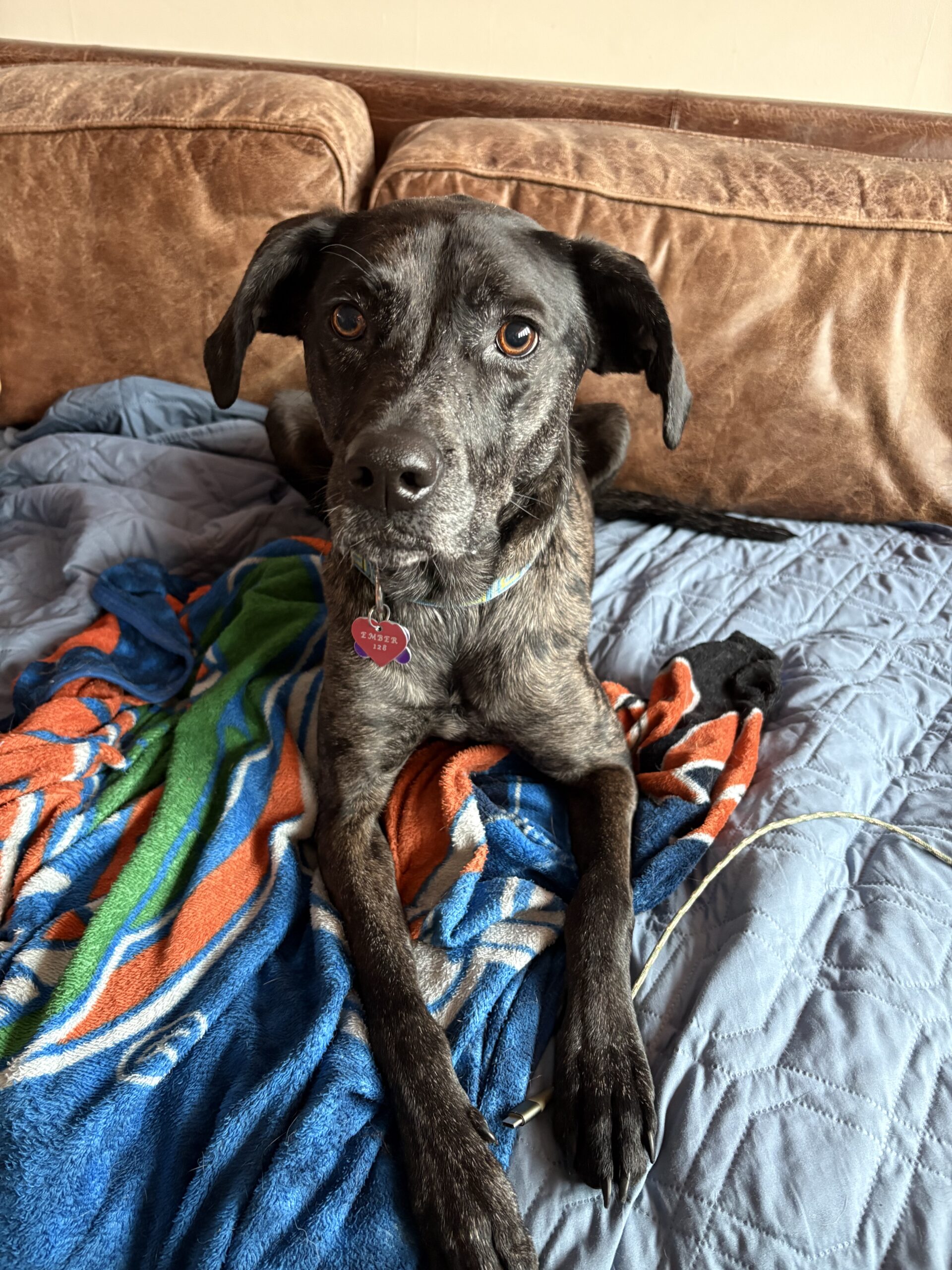 Ember Patiño Davis