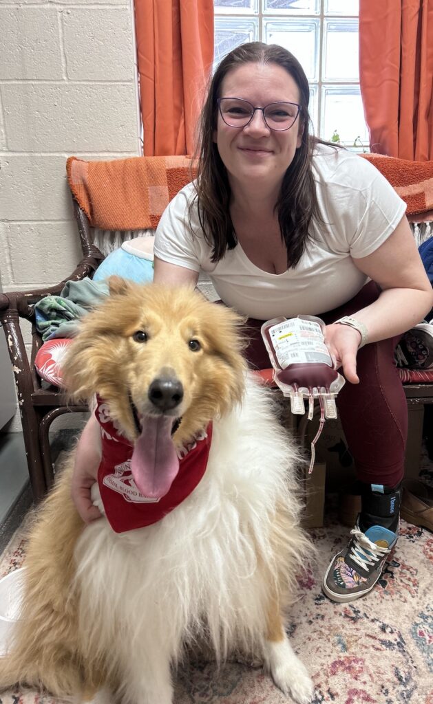 Faramir MLAH Bloodbank