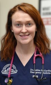 Justine McCarthy MLAH ER