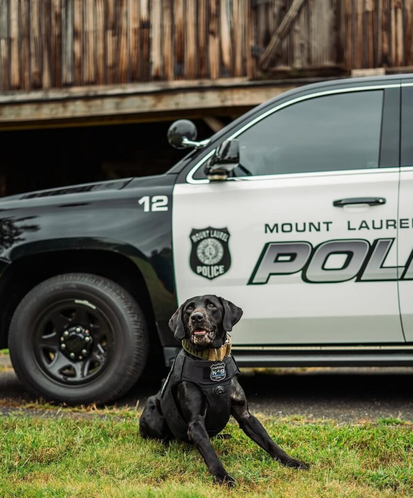 K9 Drake partner police